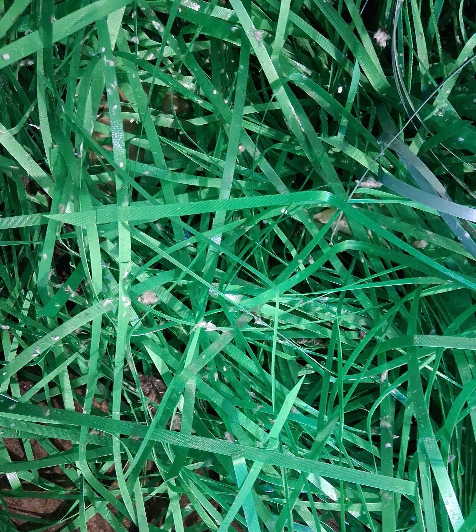 Plastic-Other