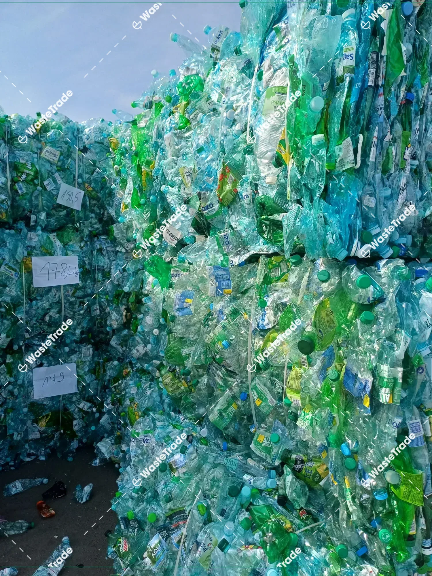 PET-Bottles — green