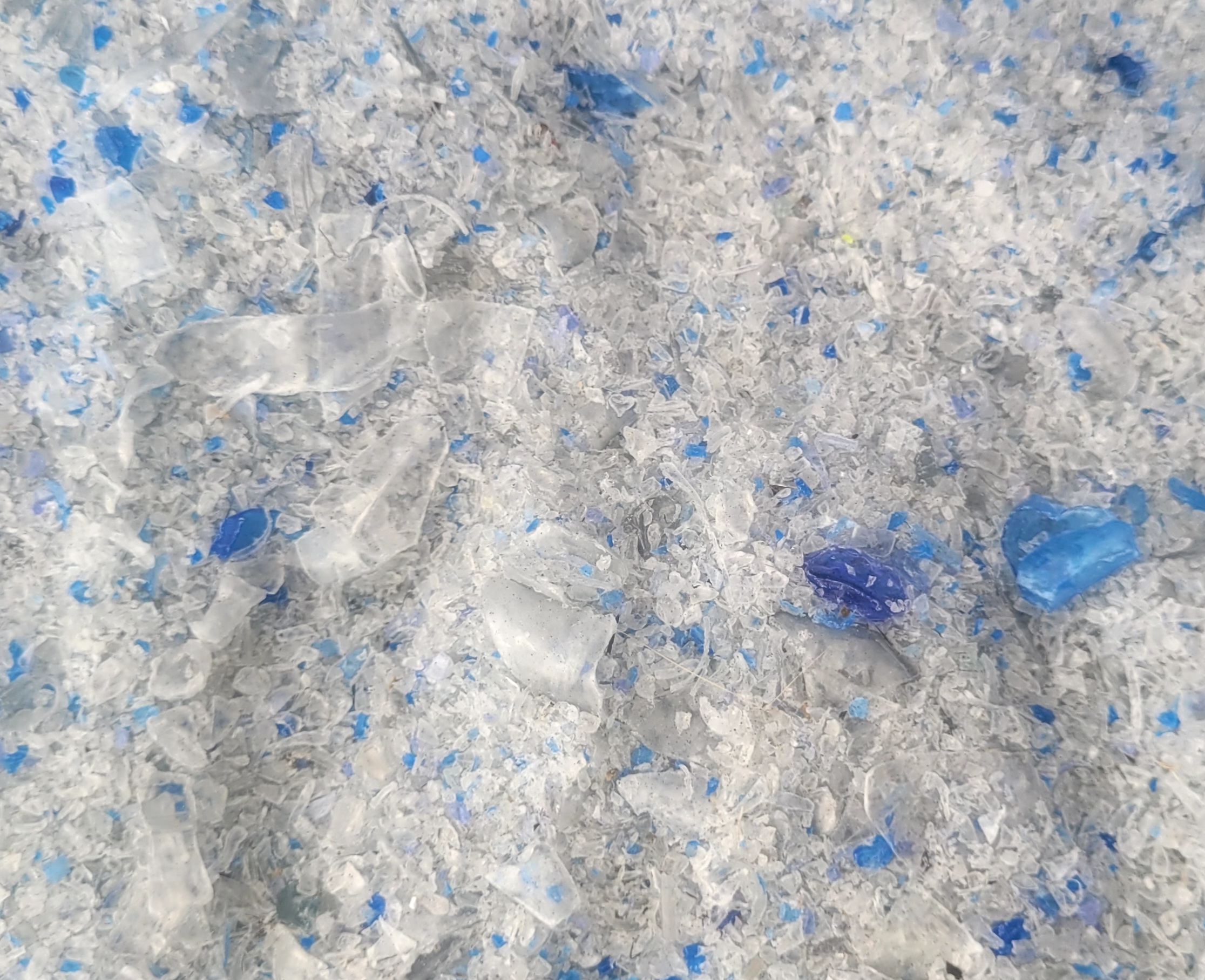 Plastic-PET-Clear bottle flake — unwashed-Sorting / Treatment-Flake — unwashed