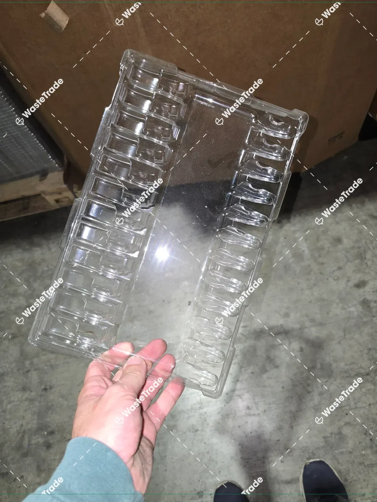 PET-Trays — clear (CPET/APET)